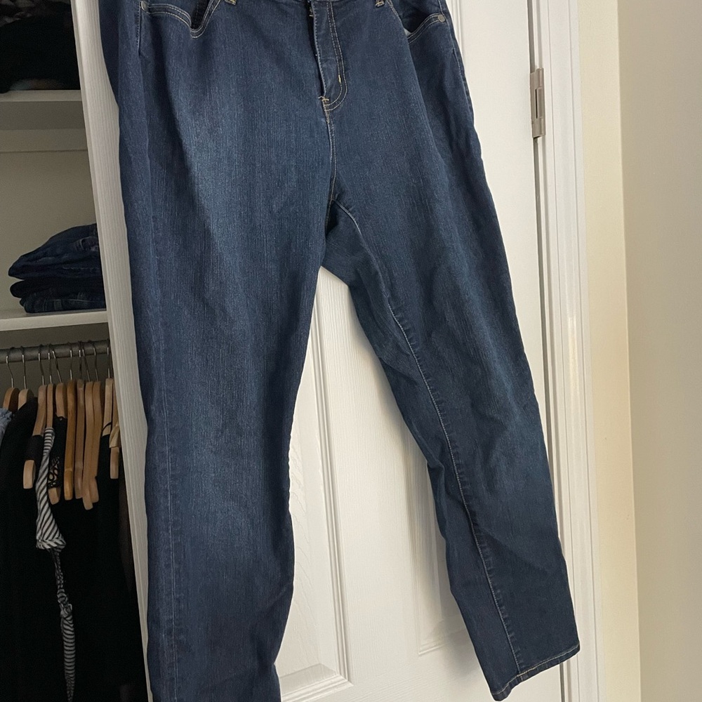 Torrid skinny Jeans